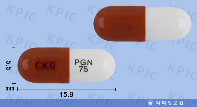 가바리카캡슐75mg(수출용) Gabalica Cap. 75mg(for export)