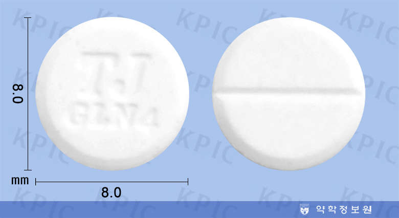 가스론엔정4mg Gaslon N Tab.4mg