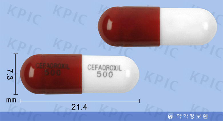 광동세파드록실캡슐500mg Cefadroxil Cap. 500mg KwangDong